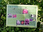 Stanoviště 5: Rododendrony – pěnišníky