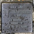 Miniatura para Fritz Pfeffer