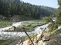 A stream flowing through the Hirpora Wildlife Sanctuary in Shopian district of Kashmir.