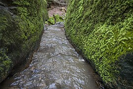 Bachrinne vor dem Wasserfall