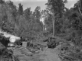 Knight’s Tram und eine Dampfseilwinde auf einer Rodung bei Raumiru