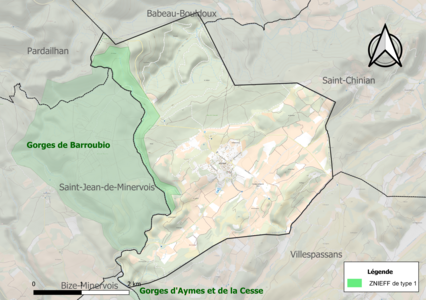 Carte de la ZNIEFF de type 1 sur la commune.