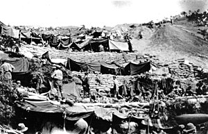 Anzac Cove encampment 1915.jpg