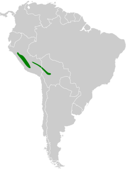 Distribución geográfica del canastero gorgiestriado.