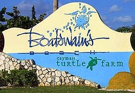Signu antaŭe ĉe la enirejo al Cayman Turtle Farm