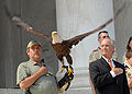 عقاب سر سفید در حال بال گشودن در جلوی بنای یادبود جفرسون. وزیر امور داخلی ایالات متحده در سمت راست دیده می‌شود.