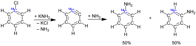 Nachweis von Arinen durch 14C-Markierungsreaktion