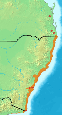 Distribuição das Dasyornis brachypterus.