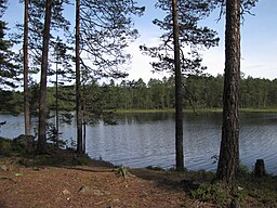 Grepsjön i Nora kommun.