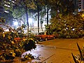 إعصار مانكوت يتسبب في سقوط عدّة أشجار في هونغ كونغ مع ملاحظة تعطل بعض سيارات الأجرة بسبب السقوط المتوالي للأشجار