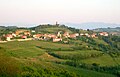 Gorizia Tepeleri'ndeki şarap bölgesi