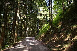 Weg hinauf zur Burg