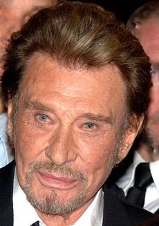 Johnny Hallyday v roku 2014