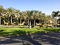Chevaux dorés, Hôtel Al Qasr, Madinat Jumeirah, Dubai