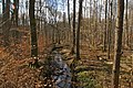 Prop del cimentiri Wohldorfer Waldfriedhof