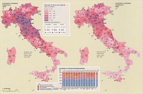 Lavoro e aziende agricole nel 1970 e 1982: giornate di lavoro per azienda e (in basso) tipi di manodopera.[54]