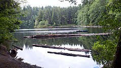 Затерянное озеро в государственном лесу Клэтсоп (район Астория) .jpg