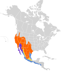 Distribución geográfica del copetón cenizo.