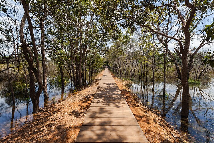 Дорожка, проложенная по насыпи, соединяющей остров, на котором расположен кхмерский храм Неакпеан, с берегом барая в Ангкоре