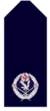 Nsw-police-force-assistant-комиссар.png
