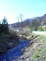 La rivière après sa sortie de la forêt