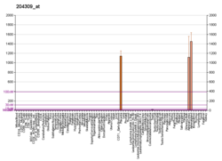 PBB GE CYP11A1 204309 в формате fs.png