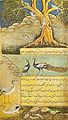 Gambar burung merak dan burung-burung dalam Baburnama