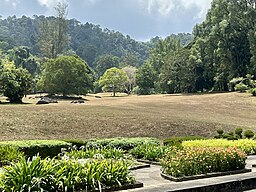 Penang Botanic Gardens landscape with a variety of plants and trees