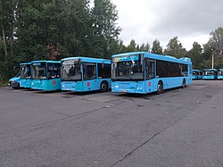 Автобусы предприятия АО «Третий парк» в Зеленогорске в августе 2022 года. Слева направо: ГАЗель City , ЛиАЗ-5292.67 СПГ , МАЗ-203.C45 , на заднем плане: ЛиАЗ-5292.67 СПГ