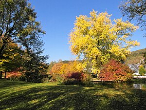 Kurpark im Herbst 2018 (am See)