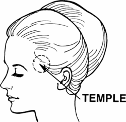 Temple (anatomy) (PSF).png