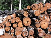 Timber in storage for later processing at a sawmill Timber DonnellyMills2005 SeanMcClean.jpg