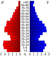 Bevolkingspiramide Wilson County