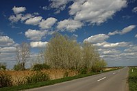 La Route Magistrale 18 près de Velika Greda.