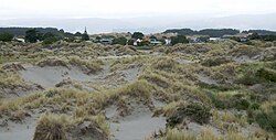 Sand dunes at Waikawa beach