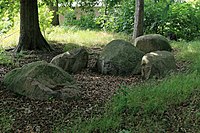 Steingrab: Großsteingrab Ostenwalde II