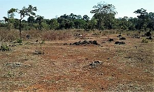 Landschaft bei Uaibehana im Oktober