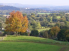 Above Logmore Green - geograph.org.uk - 589183.jpg