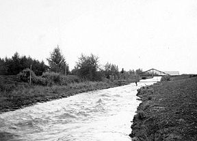 Alamo Canal circa 1905.jpg