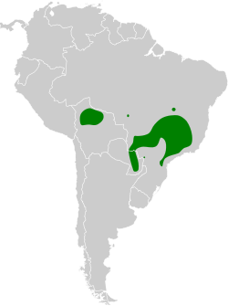 Distribución geográfica del yetapá chico.