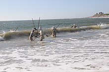 People collect seaweed for fertilizer off the coast of Portugal