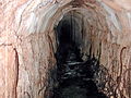 Intrusion de racines de chêne dans l'aqueduc de Fréjus.