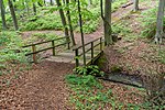 Bad Salzuflen - 2019-04-28 - LSG 3818-0007 Lipper Bergland (DSC00974).jpg