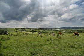 Gornja Pakaštica