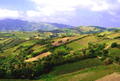 Hills in Batanes, Philippines