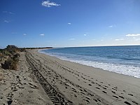 Becher Point Beach