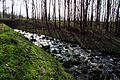 Der Beeckbach auf den Weg durch das Regenrückhaltebecken