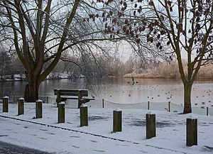 English: By Needham Lake in the snow A cold wi...