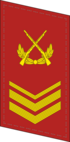 CAPF-яка-0707-3CSGT.png