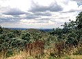 Paysage des pentes du mont Canobolas.